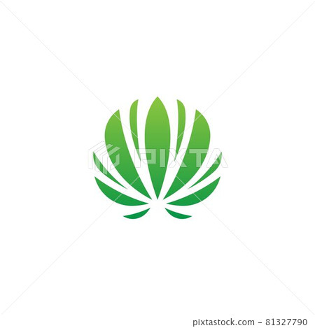 canabis marijuana sign symbol illustration canabis marijuana sign symbol illustration 81327790