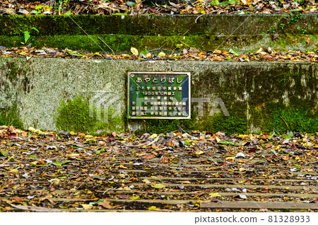 Momigi Suspension Bridge "Autumn Sunny, Unexplored Autumn Leaves Scenery Guide / Construction" Photographed in Japan 2020 (Autumn) Momigi Suspension Bridge "Autumn Sunny, Unexplored Autumn Leaves Scenery Guide / Construction" Photographed in Japan 2020 (Autumn) 81328933