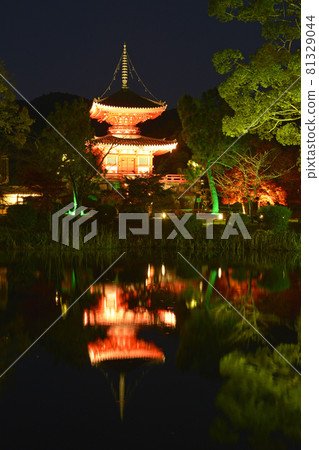 [京都嵯峨野大覺寺紅葉燈飾] 秋季影像 81329044