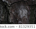 Tree scales 81329351