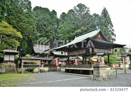 新宮神社（處女/本堂）[滋賀縣甲賀市信樂町] 81329477