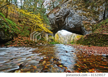 皇家峽谷的秋葉 皇家峽谷的秋葉 81329917