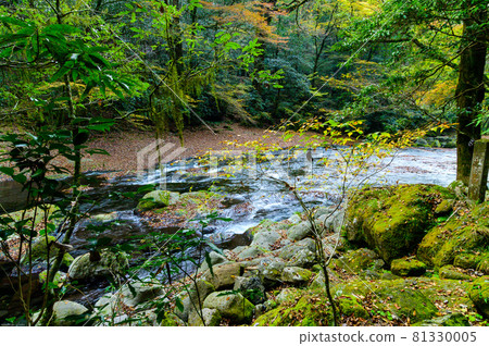 菊池峽“秋山澗 / 紅葉風景” 100 种红葉 / 100 景 日本秋季 2020 菊池峽“秋山澗 / 紅葉風景” 100 种红葉 / 100 景 日本秋季 2020 81330005
