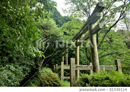 Koyasan-cho Ishimichi Two Torii [Katsuragi-cho, Ito-gun, Wakayama Prefecture] 81330114