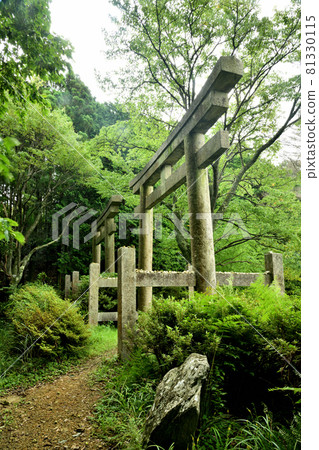 Koyasan-cho Ishimichi Two Torii [Katsuragi-cho, Ito-gun, Wakayama Prefecture] 81330115
