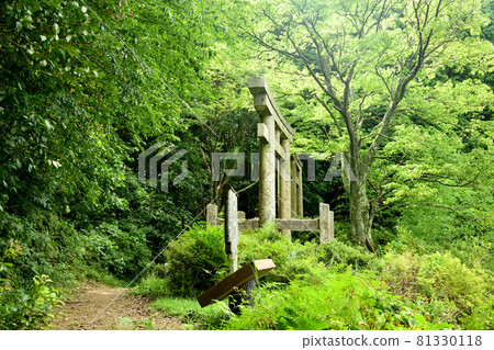 Koyasan-cho Ishimichi Two Torii [Katsuragi-cho, Ito-gun, Wakayama Prefecture] 81330118