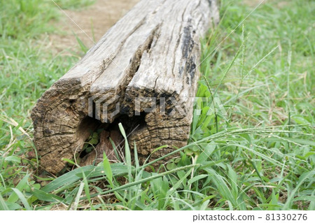 Wooden chair 81330276