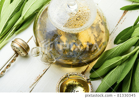 Sage in herbal medicine,herbalism 81330345