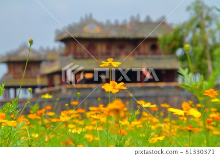 Hue, a World Heritage Site in Central Vietnam, Flower Field and Royal Palace Gate 81330371