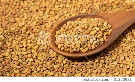 Fenugreek Seed or Fenugreek Alias: Hu Roha, Metch, Fenugreek Seed or Fenugreek Alias: Hu Roha, Metch, 81330981