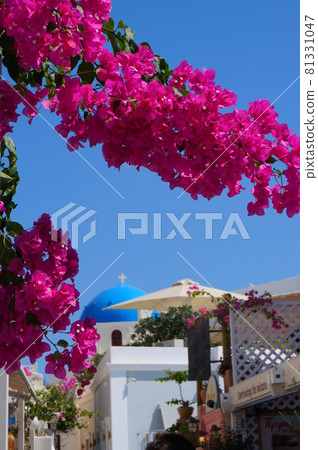 Beautiful Santorini landscape 81331047