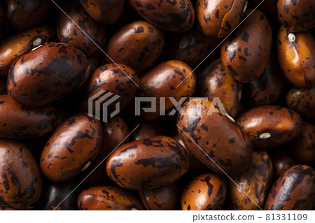 Pinto beans from Hokkaido Pinto beans from Hokkaido 81331109