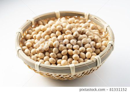 北海道大豆 81331152