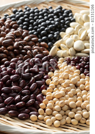 多種豆類的集合 81331166