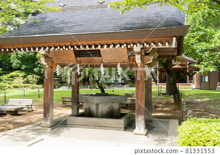 [Yamanashi Prefecture] Takeda Shrine 81331553
