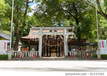 [Yamanashi Prefecture] Takeda Shrine 81331561