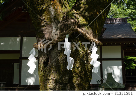 [山梨縣] 武田神社 81331591
