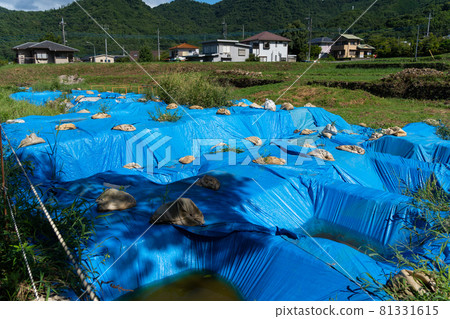 [山梨縣] 武田神社 81331615