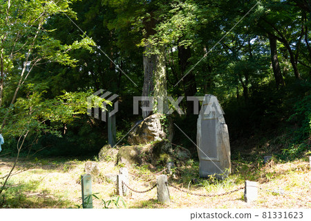 [山梨縣] 武田神社 81331623