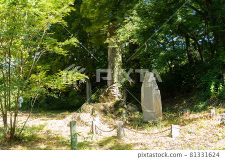 [山梨縣] 武田神社 81331624