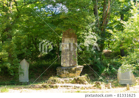 [山梨縣] 武田神社 81331625