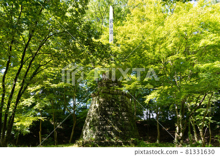 [山梨縣] 武田神社 81331630