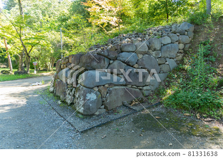 [Yamanashi Prefecture] Takeda Shrine 81331638