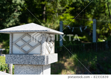 [Yamanashi Prefecture] Takeda Shrine 81331639