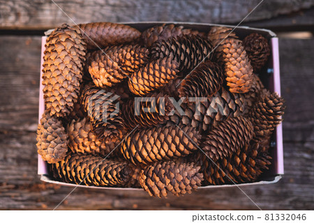 Beautiful New Year or Christmas background of pinecones in the box on the wood. 81332046