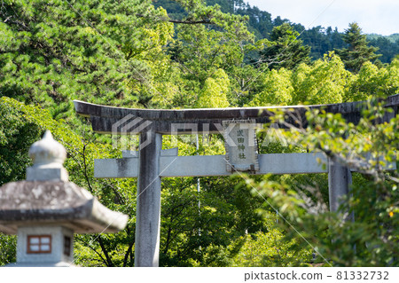[Yamanashi Prefecture] Takeda Shrine 81332732