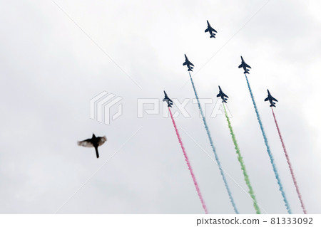 Blue Impulse / Exhibition Flight 81333092