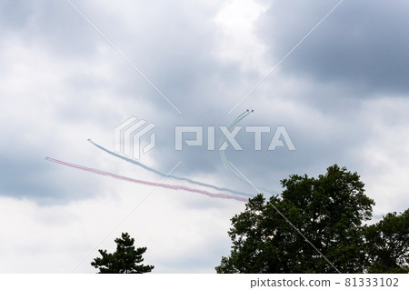 Blue Impulse / Exhibition Flight Blue Impulse / Exhibition Flight 81333102