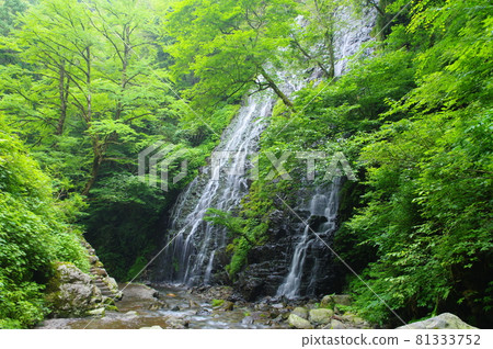 Ryusoga Falls 100 selections of waterfalls in Japan Ikeda-cho, Imadate-gun, Fukui Prefecture Ryusoga Falls 100 selections of waterfalls in Japan Ikeda-cho, Imadate-gun, Fukui Prefecture 81333752