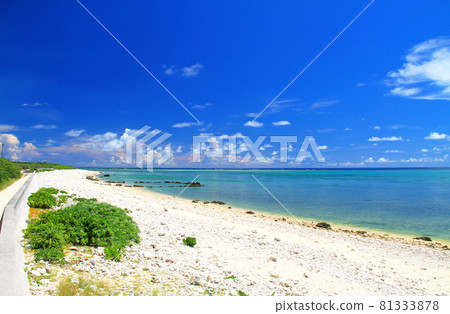 Okinawa Ishigaki Island Shiraho Beach Beautiful Sea Okinawa Ishigaki Island Shiraho Beach Beautiful Sea 81333878