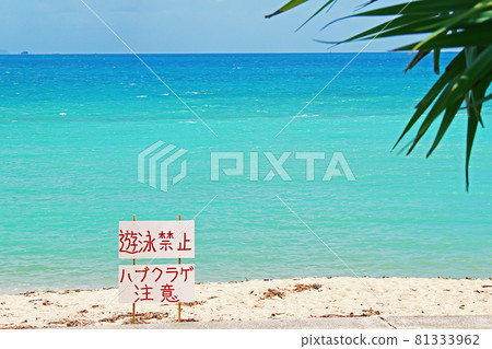 沖繩美麗的大海 81333962