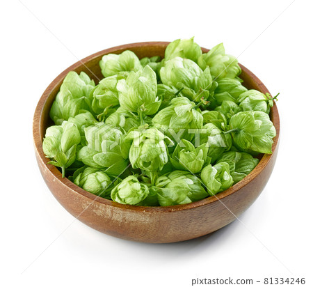 hop plant cones isolated hop plant cones isolated 81334246