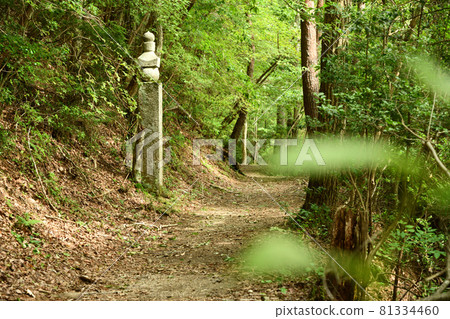 Koyasan-cho Ishimichi's 95-cho stone [Katsuragi-cho, Ito-gun, Wakayama Prefecture] 81334460