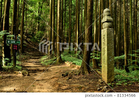 建在高野山町石道舊關口的124町石[和歌山縣伊東郡葛城町] 81334566