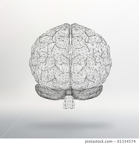 Vector illustration human brain. The structural grid of polygons. Abstract Creative concept vector background. Molecular lattice. Polygonal design style letterhead and brochure. Vector illustration human brain. The structural grid of polygons. Abstract Creative concept vector background. Molecular lattice. Polygonal design style letterhead and brochure. 81334574