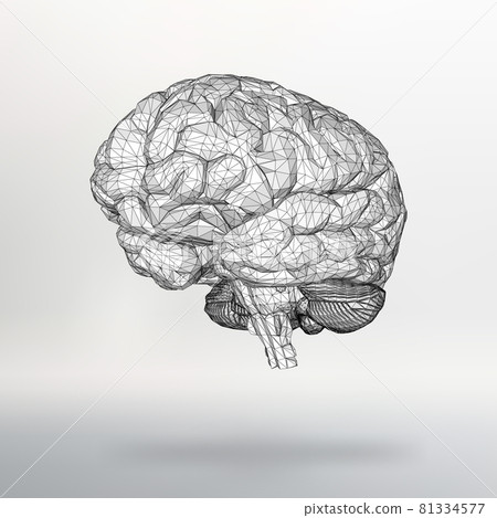 Vector illustration human brain. The structural grid of polygons. Abstract Creative concept vector background. Molecular lattice. Polygonal design style letterhead and brochure. Vector illustration human brain. The structural grid of polygons. Abstract Creative concept vector background. Molecular lattice. Polygonal design style letterhead and brochure. 81334577