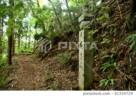 Koyasan-cho stone road 72-cho stone and Sanri-ishi [Katsuragi-cho, Ito-gun, Wakayama Prefecture] 81334729