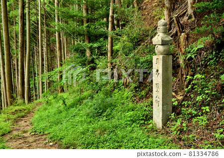 高野山町石通百十八町石【和歌山縣伊東郡葛城町】 高野山町石通百十八町石【和歌山縣伊東郡葛城町】 81334786