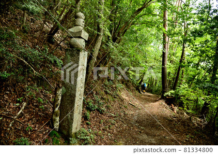 Koyasan-cho stone road 95-cho stone and climber [Katsuragi-cho, Ito-gun, Wakayama Prefecture] 81334800