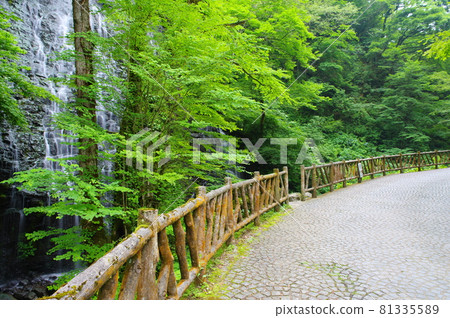 Ryusoga Falls 日本的100個瀑布選擇 福井縣今手郡池田町 81335589