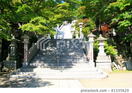 The approach to visit Ayori Shrine in Oyama, Tanzawa 81335620