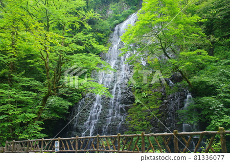 Ryusoga Falls 100 selections of waterfalls in Japan Ikeda-cho, Imadate-gun, Fukui Prefecture Ryusoga Falls 100 selections of waterfalls in Japan Ikeda-cho, Imadate-gun, Fukui Prefecture 81336077