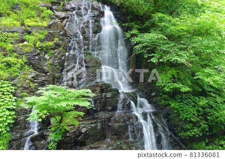 Ryusoga Falls 100 selections of waterfalls in Japan Ikeda-cho, Imadate-gun, Fukui Prefecture Ryusoga Falls 100 selections of waterfalls in Japan Ikeda-cho, Imadate-gun, Fukui Prefecture 81336081