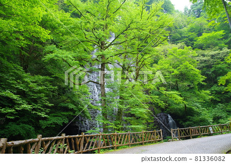 Ryusoga Falls 100 selections of waterfalls in Japan Ikeda-cho, Imadate-gun, Fukui Prefecture Ryusoga Falls 100 selections of waterfalls in Japan Ikeda-cho, Imadate-gun, Fukui Prefecture 81336082