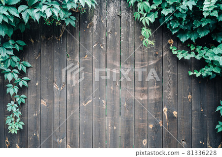 Old Wood Plank Texture Background. Wooden Board Surface or Vintage