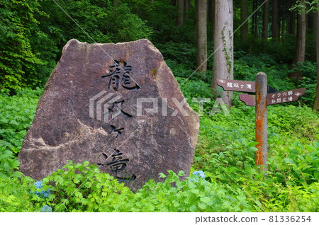 Ryusoga Falls 日本的100個瀑布選擇 福井縣今手郡池田町 Ryusoga Falls 日本的100個瀑布選擇 福井縣今手郡池田町 81336254